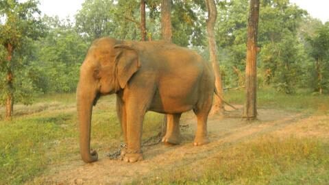 Nagzira Wildlife Sanctuary